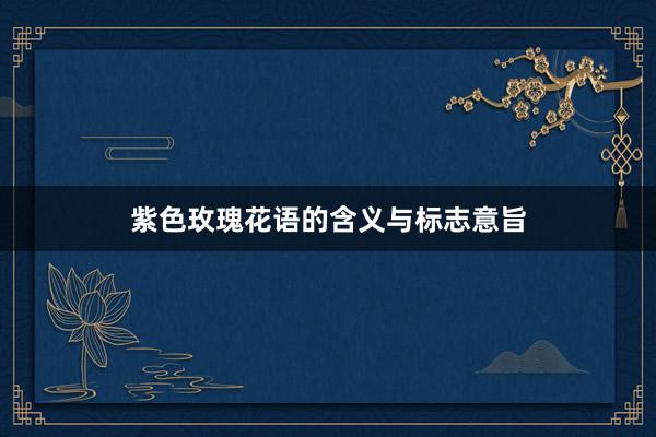 紫色玫瑰花语的含义与标志意旨