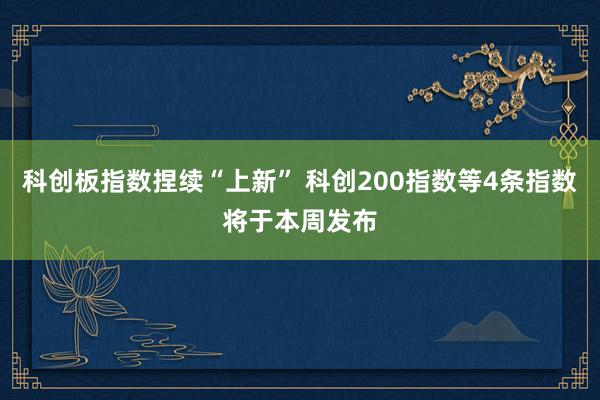 科创板指数捏续“上新” 科创200指数等4条指数将于本周发布